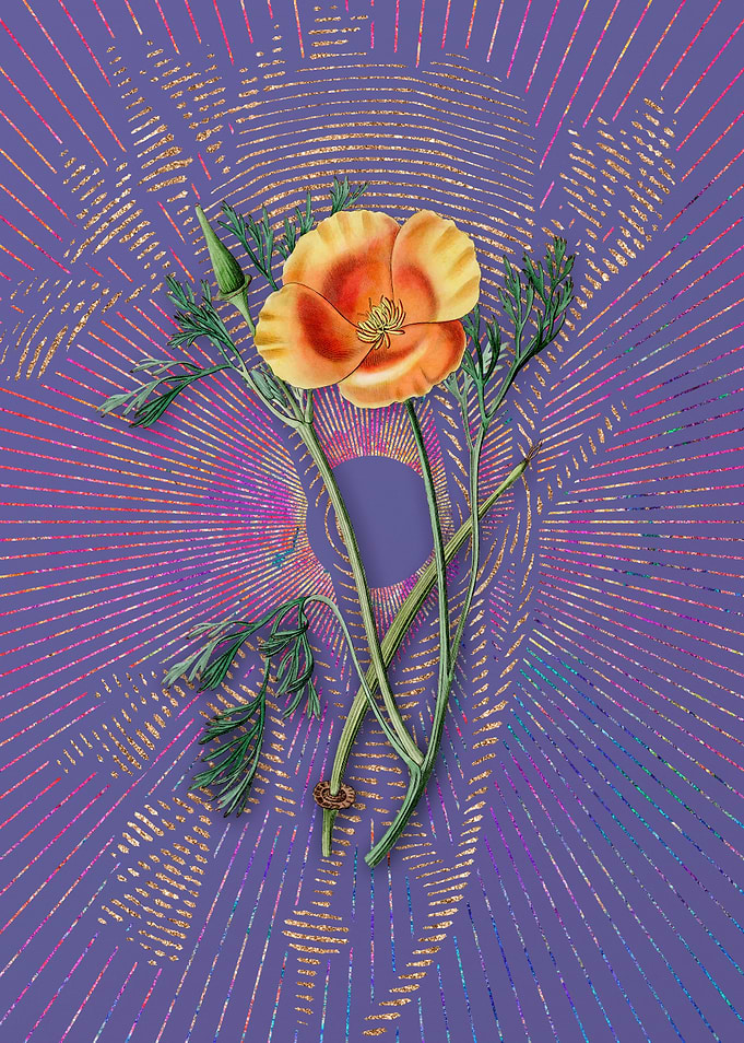 Saffron Color Eschscholzia