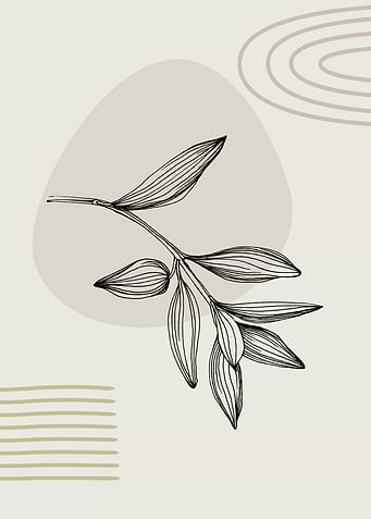 Olives