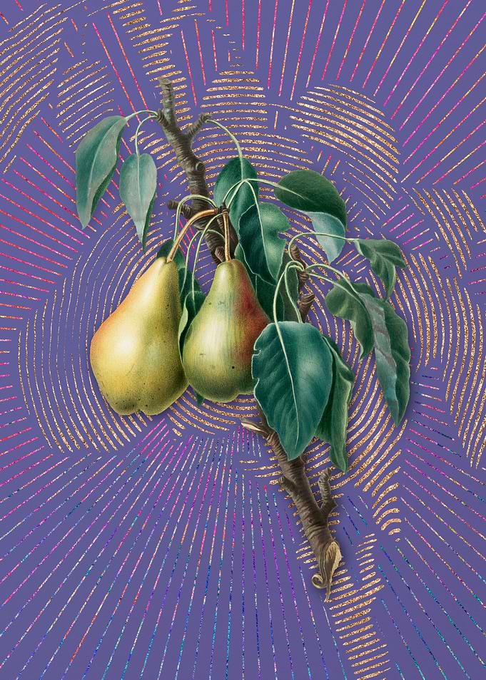 Purple Vintage Lemon Pear