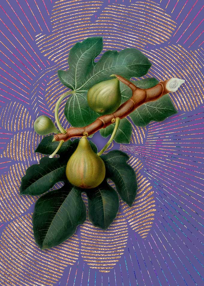 Purple Vintage Fig 8 Art