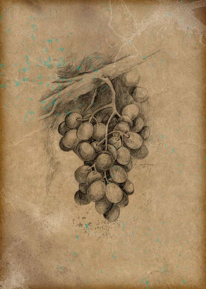 Grapes on vintage