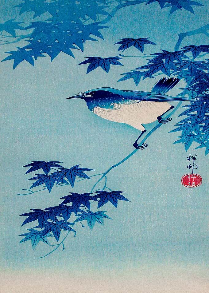Koson Blue Robin