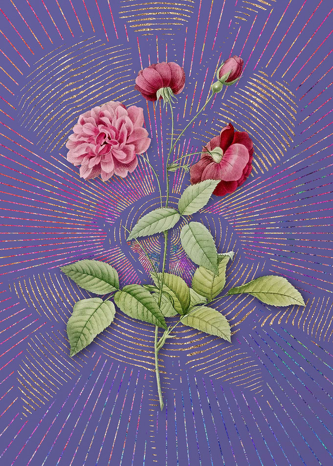 Purple Vintage China Rose