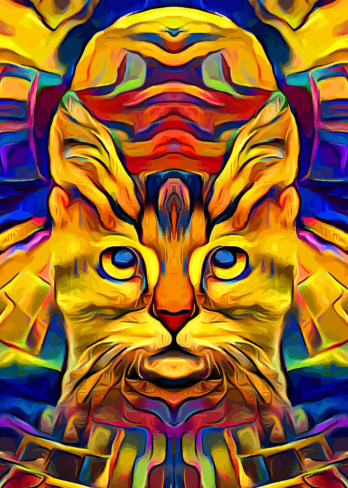Space Cat Surreal