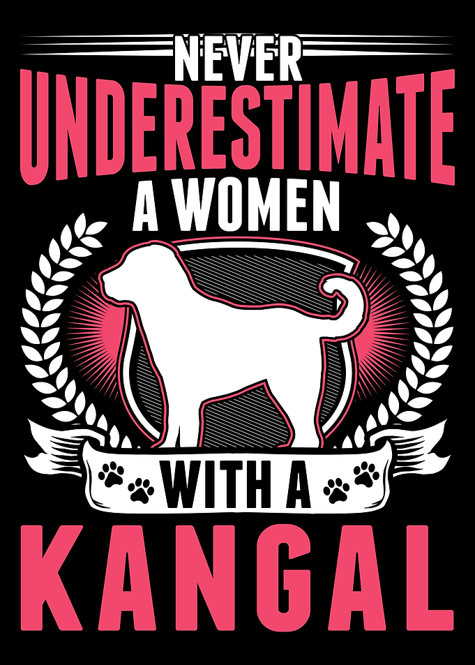 Kangal Frau Anatolischer H