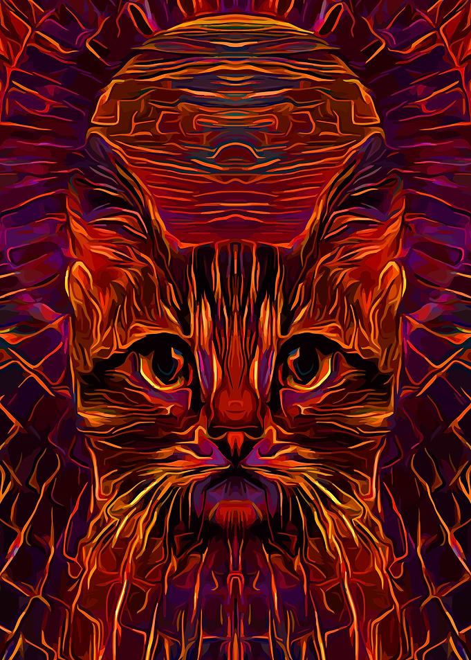 Space Cat Flaming