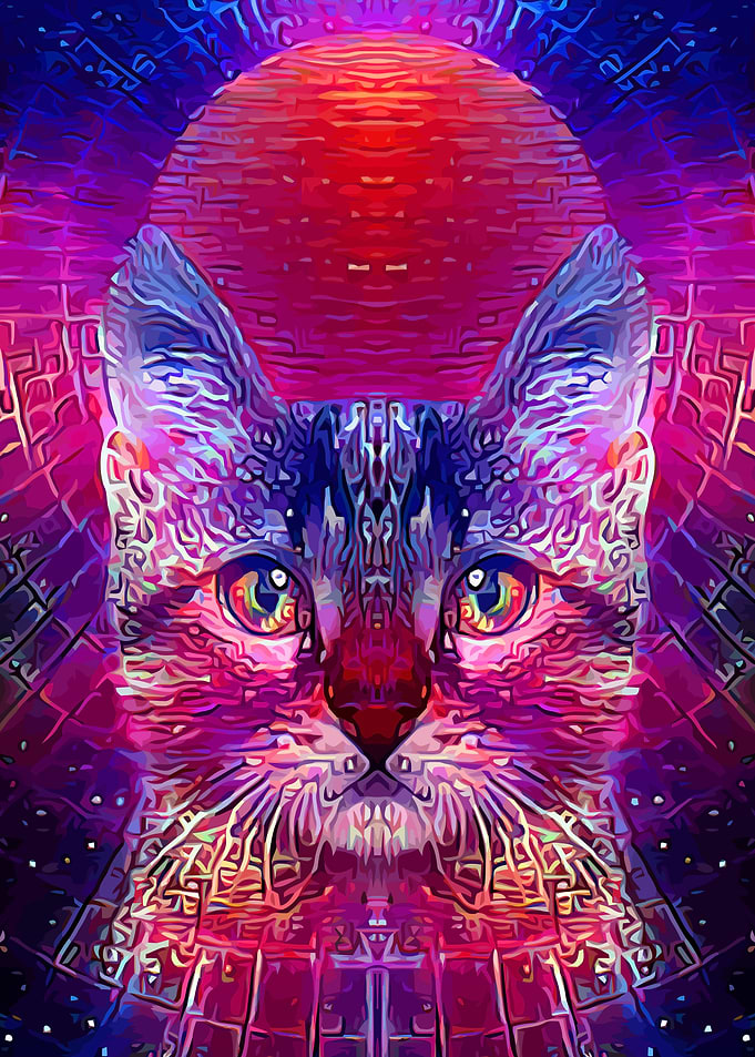 Space Cat Fantasy Art