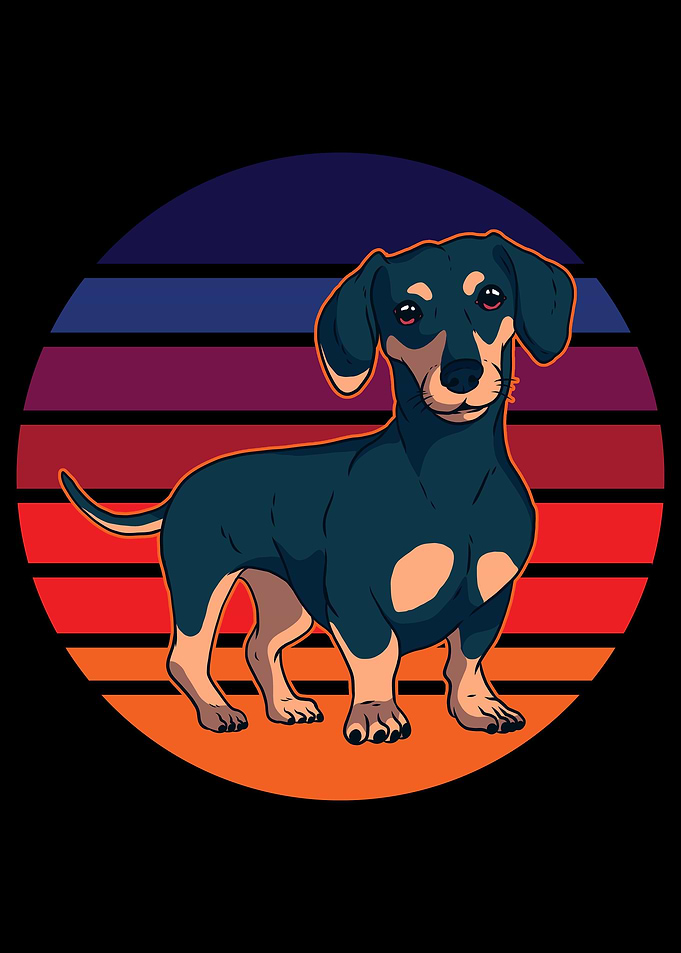 Wiener Dog Dachshund