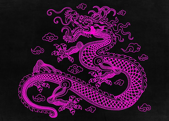 Pink Chinese Dragon