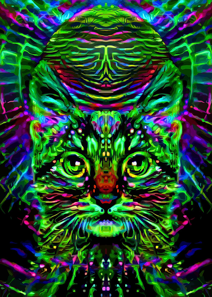 Space Cat Keeper