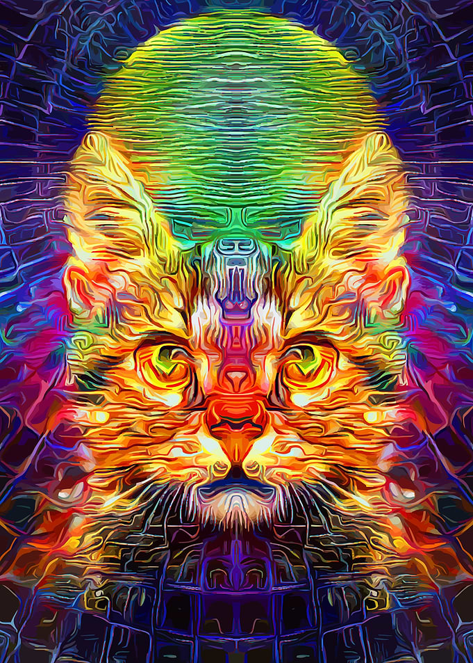 Space Cat Trippy Art