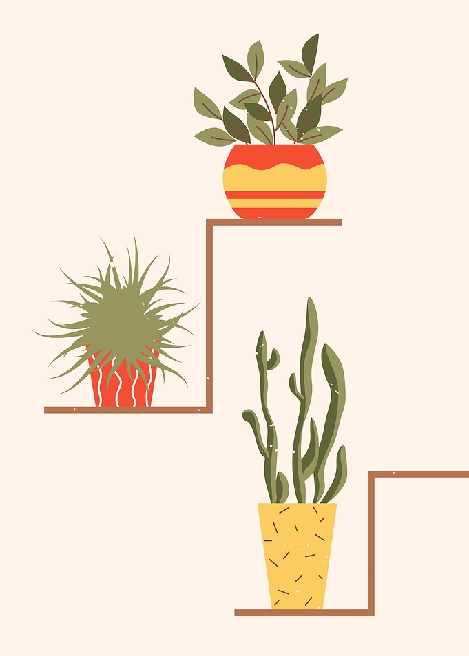 Modern indoor succulents