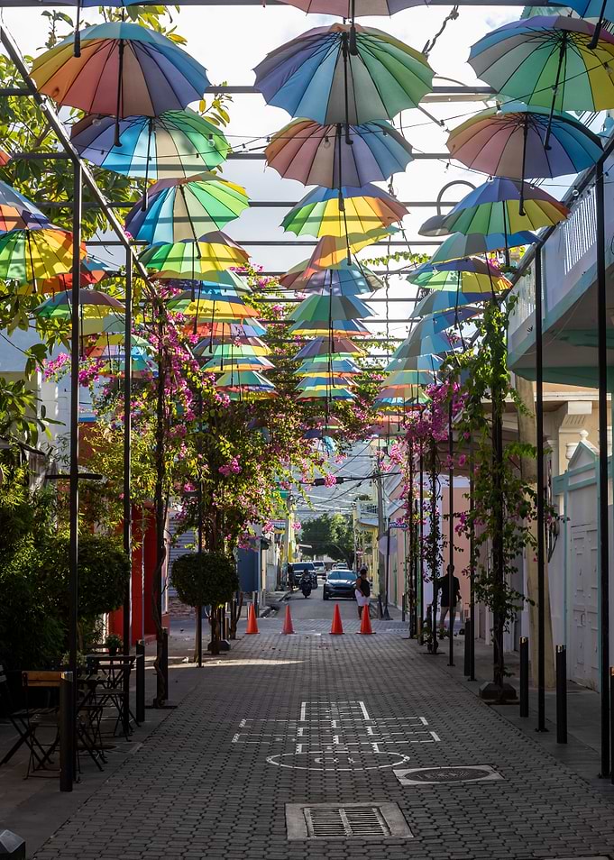 Umbrella Street