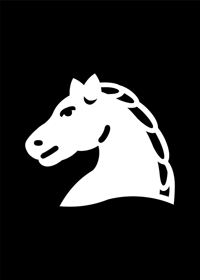 Knight