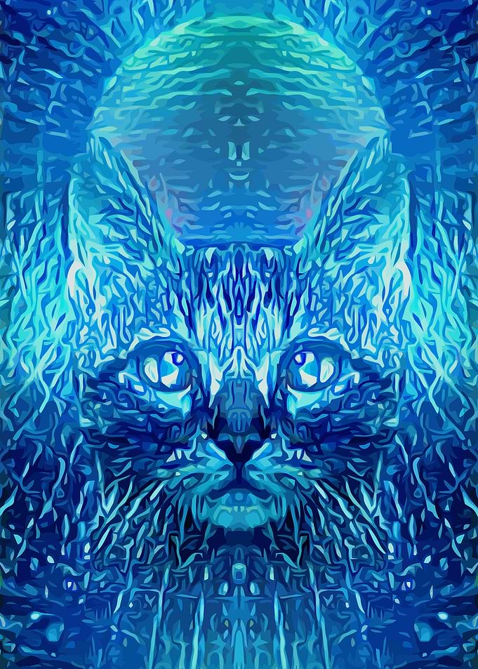 Space Cat Mystery Shine