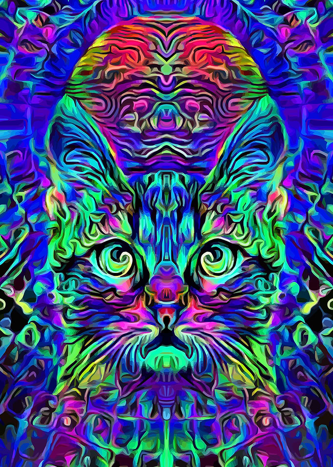 Space Cat Psychedelic