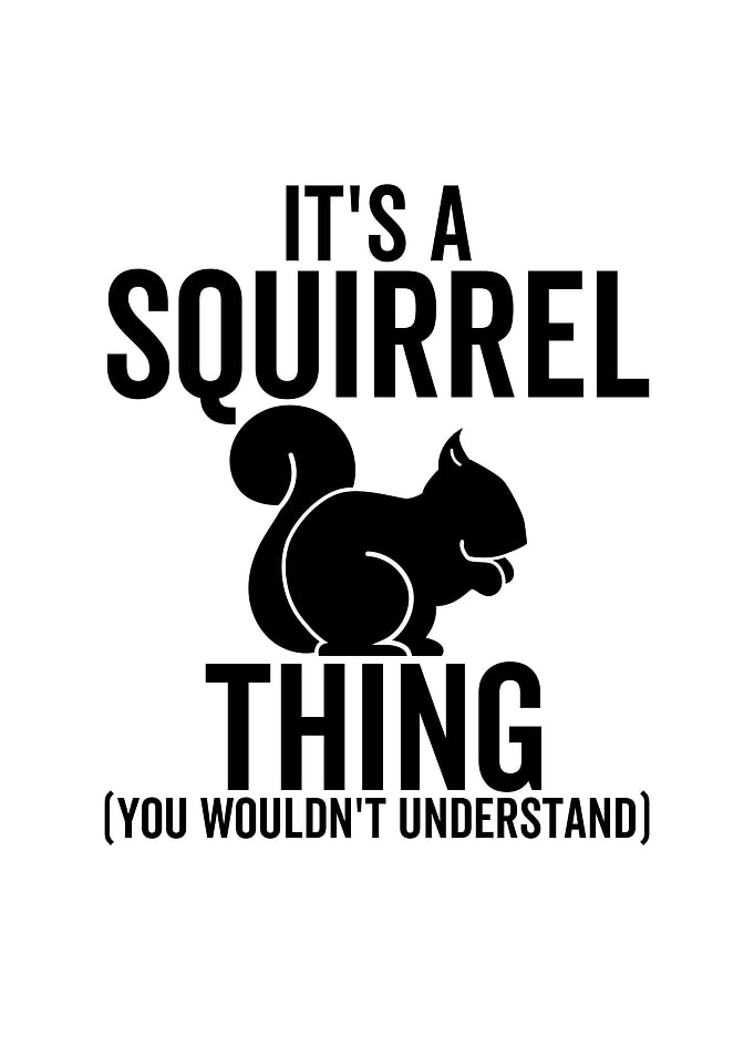 Its a Squirrel Thing You