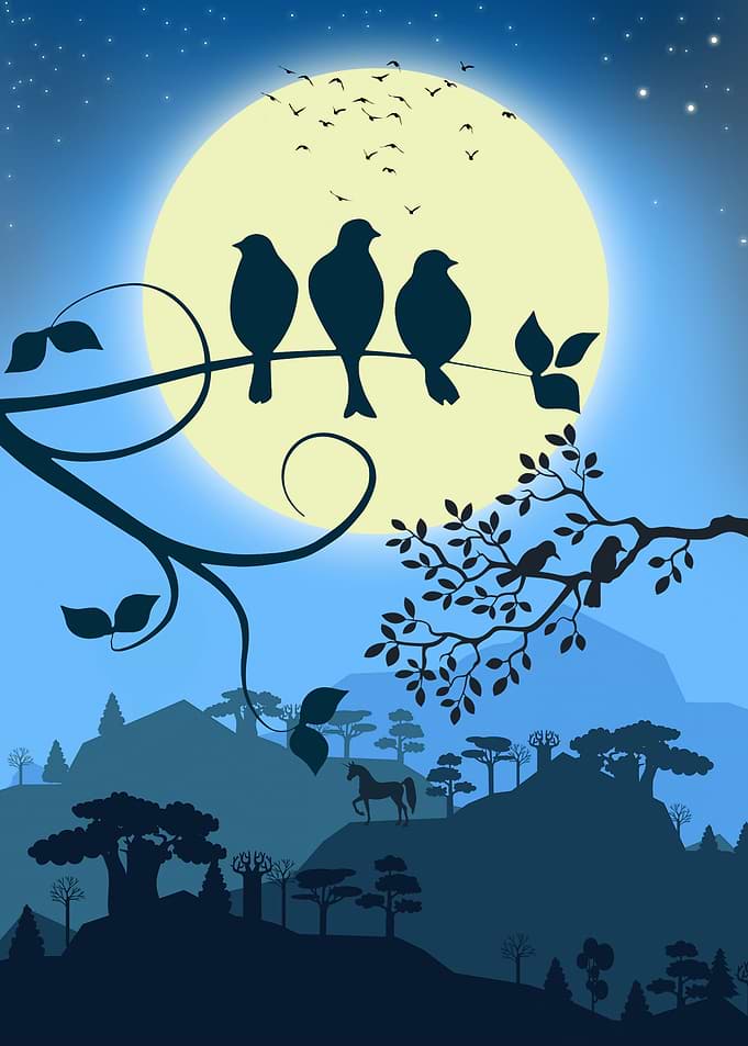 Bird Silhouette