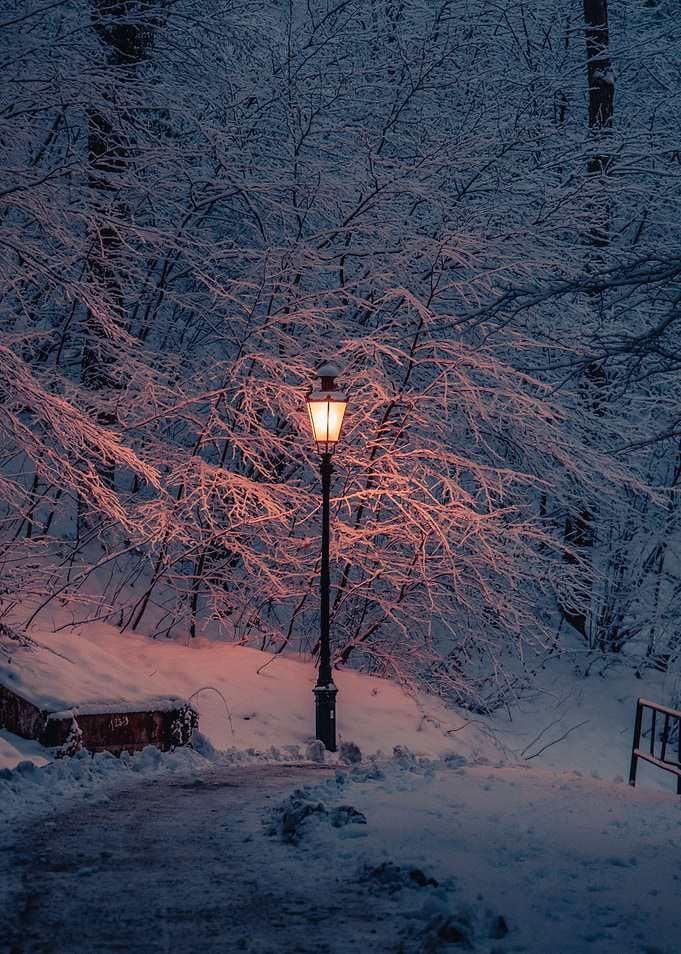 Winter Forest Lantern