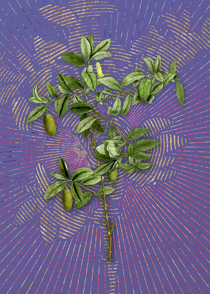 Vintage Apple Berry Purple