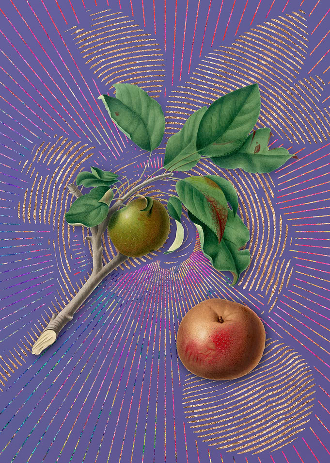 Vintage Apple 7 Fruit