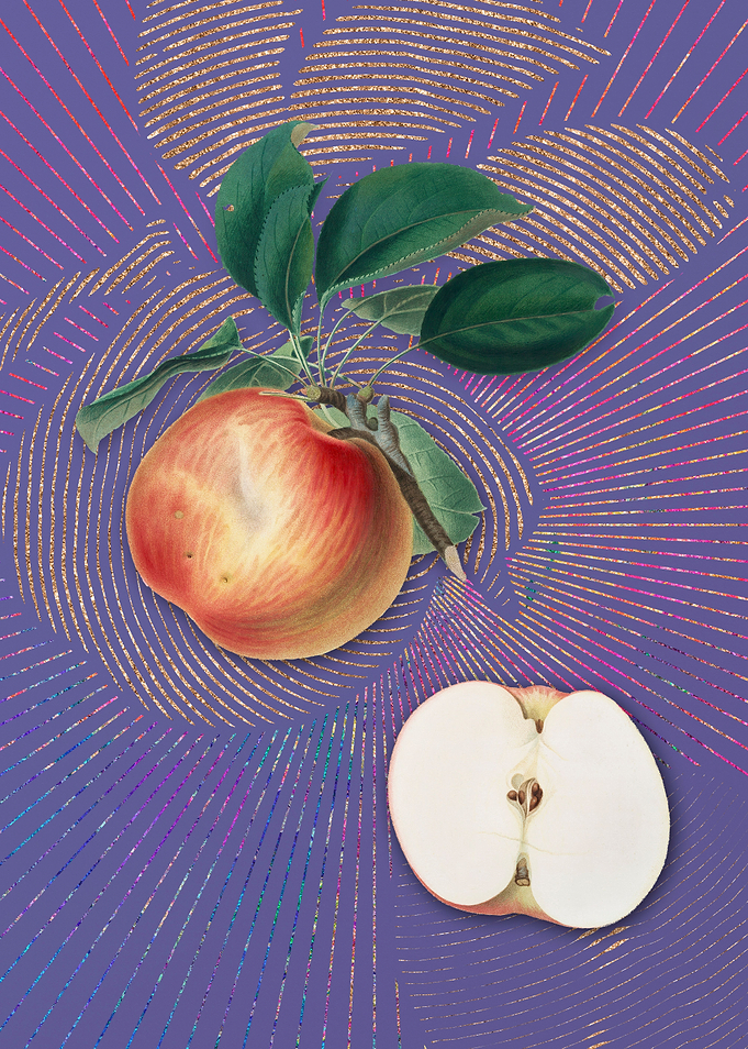 Vintage Apple 5 Violet