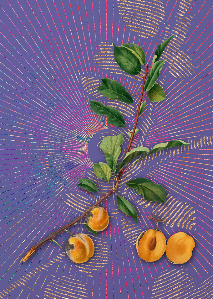 Vintage Apricot Violet