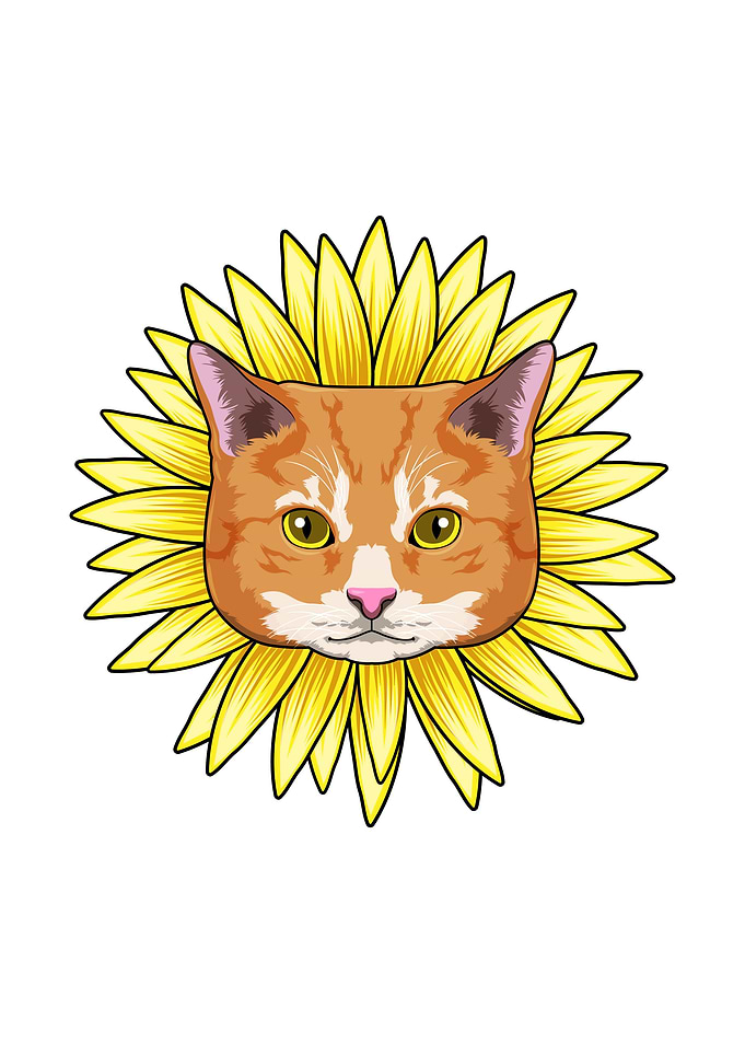 Cat Sunflower