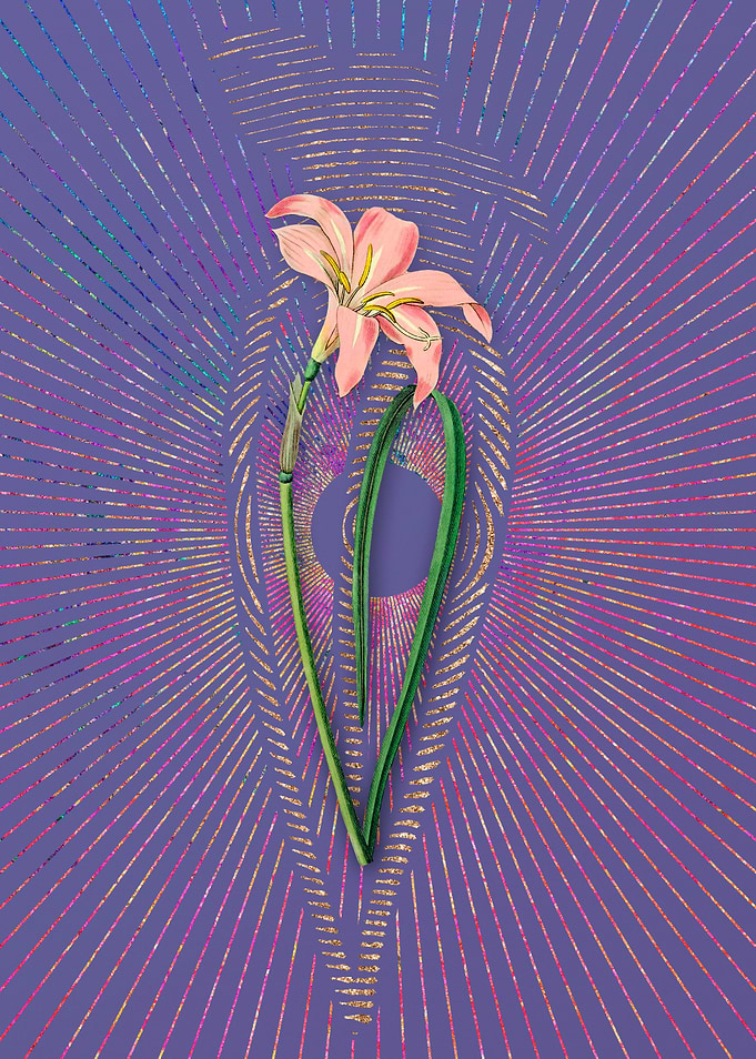Spofforth Zephyranthes