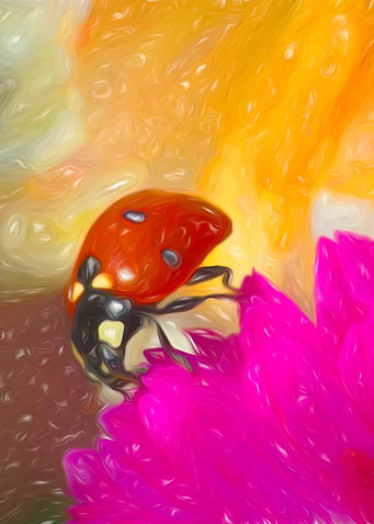 Ladybug on pink flower