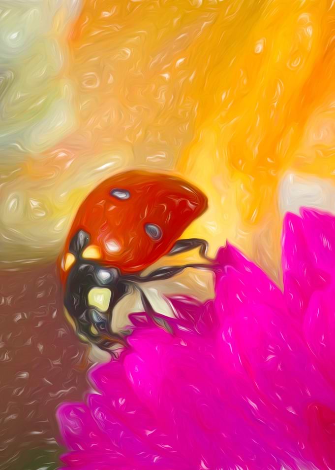 Ladybug on pink flower