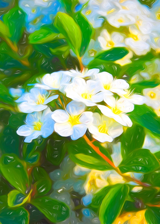 Bunch of white flowers