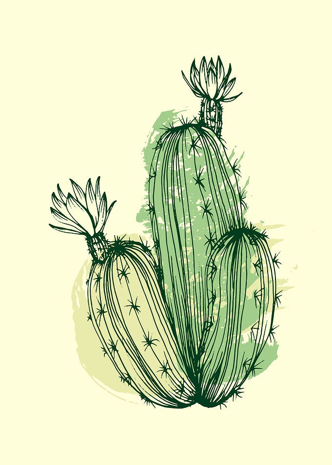 Cactus