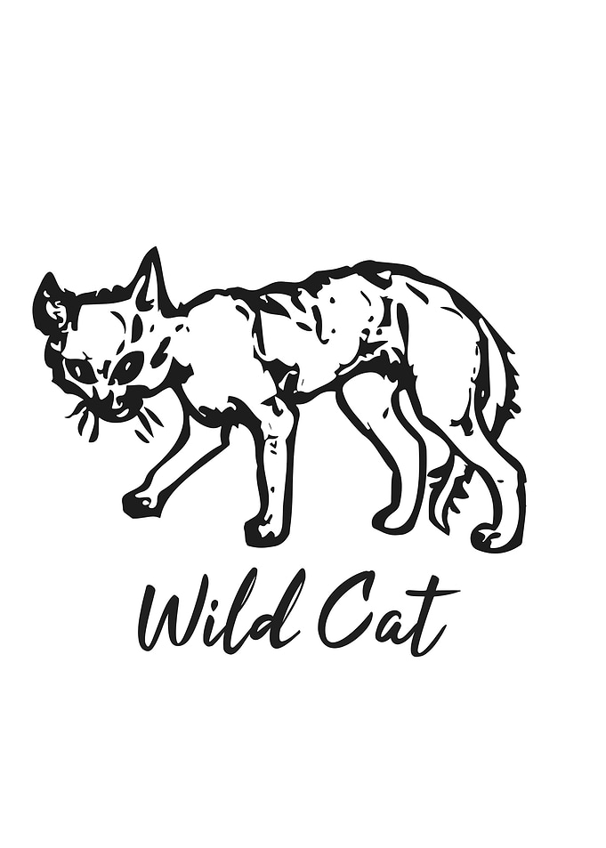 Wild Cat Line ilustration