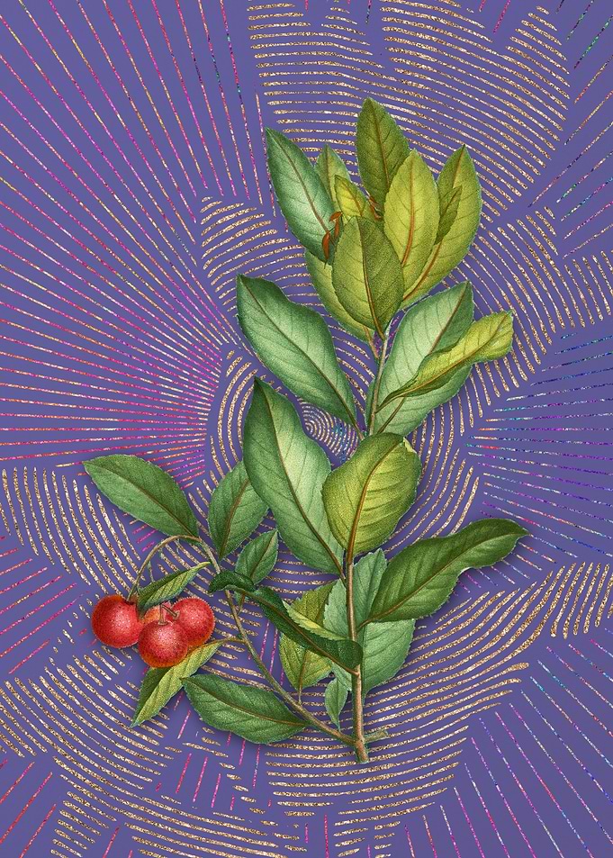 Strawberry Tree Branch