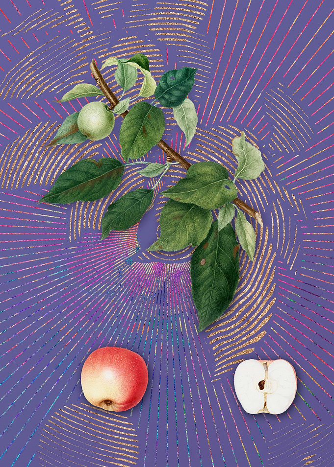 Vintage Apple 4 Fruit