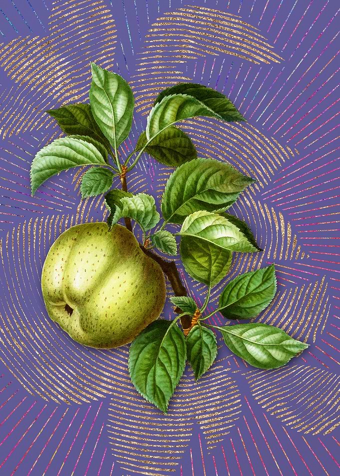 Vintage Apple 2 Fruit