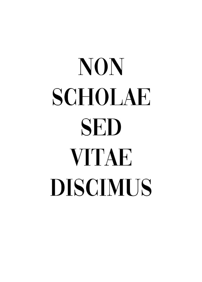 Latin Quote Learn Life