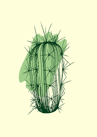 Succulent
