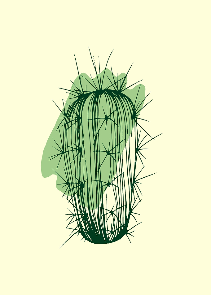 Succulent