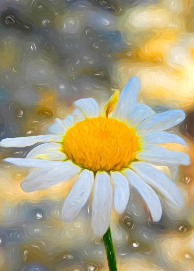 Daisy blossom art spring