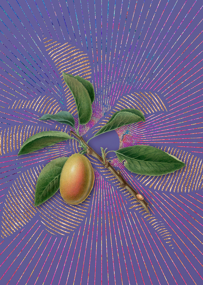Vintage Armenian Plum
