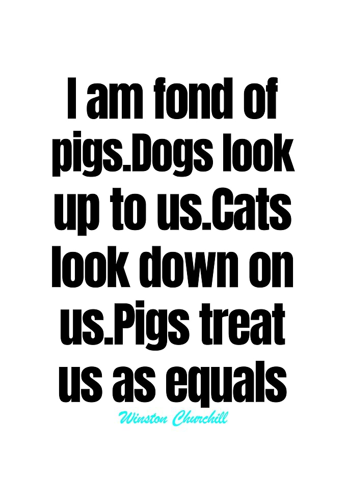 Winston Churchill Quotes