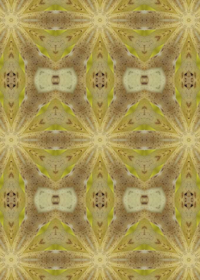 Abstract Bananas 1
