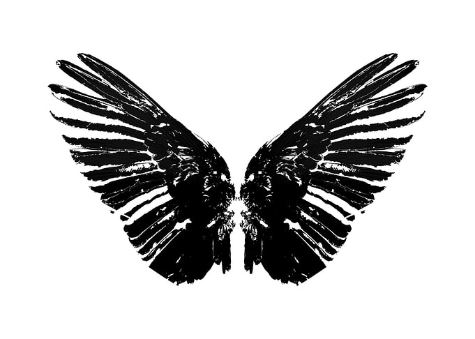 Wing