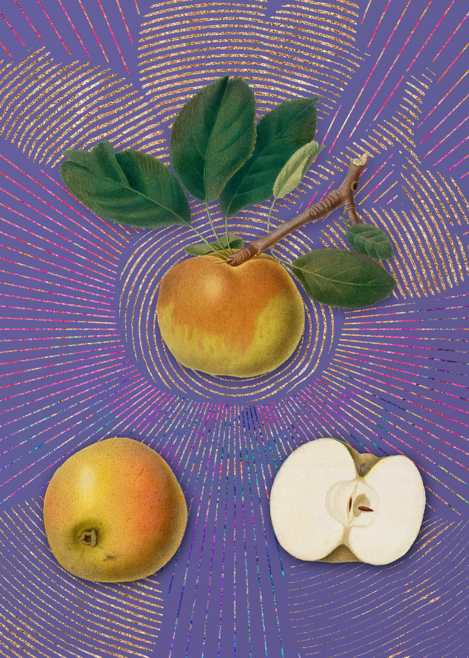 Vintage Apple 3 Violet