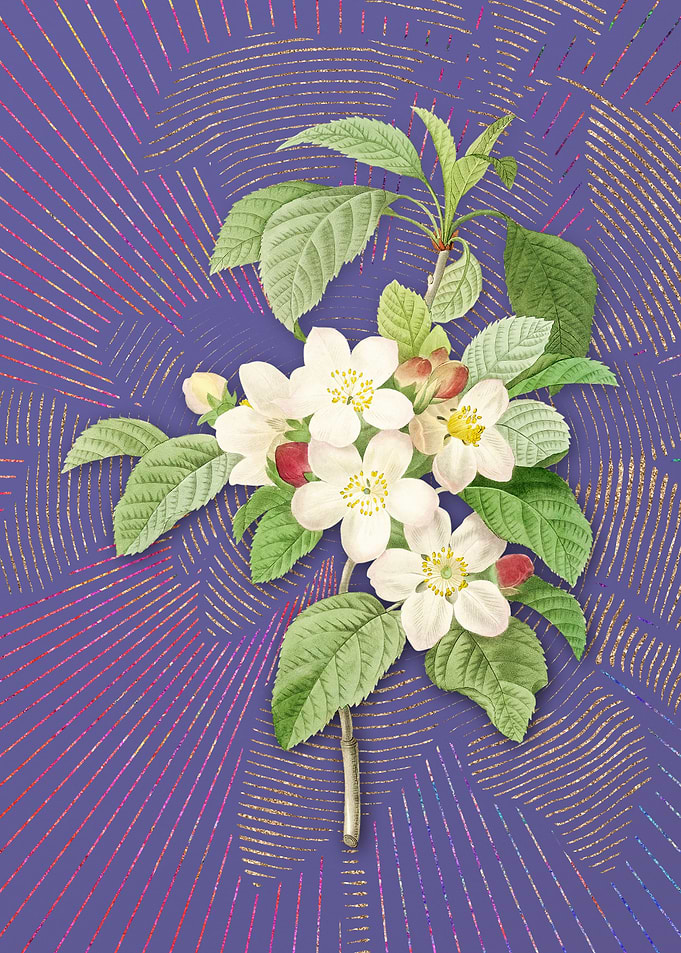 Vintage Apple Blossom