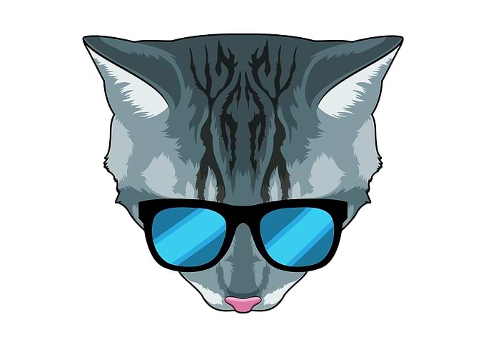 Cat Sunglasses