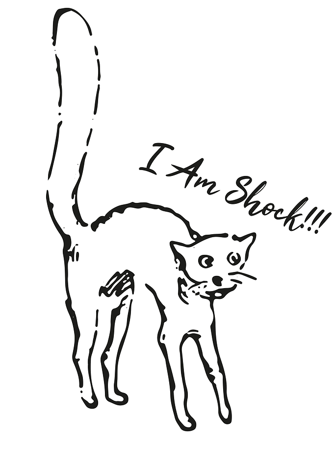 Shock a cat