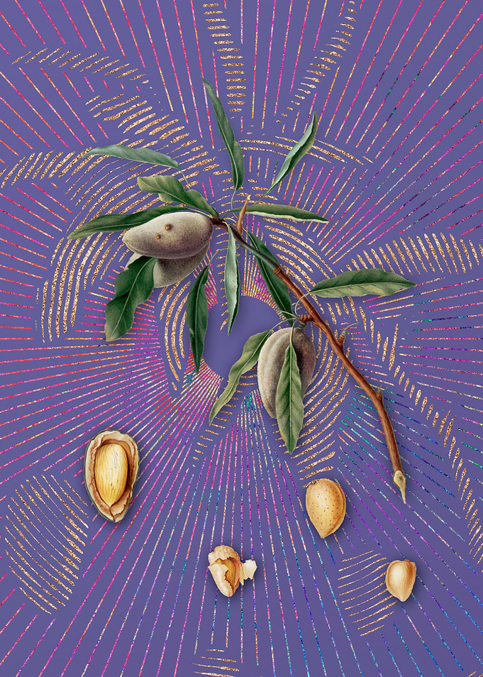 Vintage Almond 2 Flora